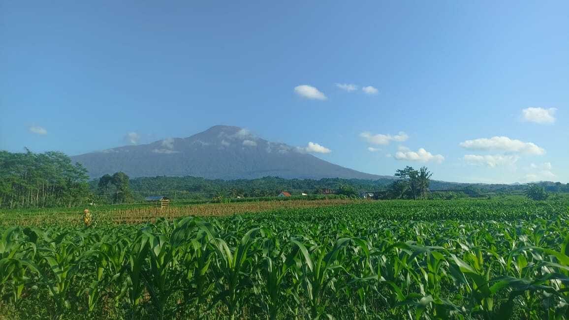 Mengenal Kabupaten Banyumas