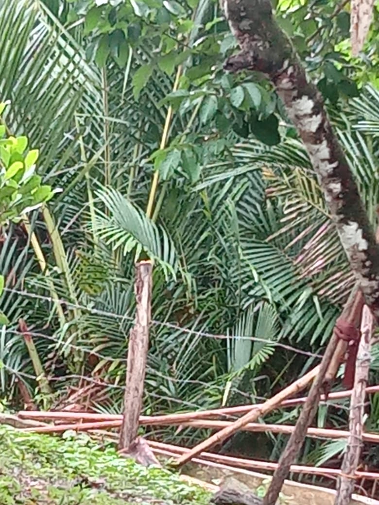 Pantai Lhok Bubon  