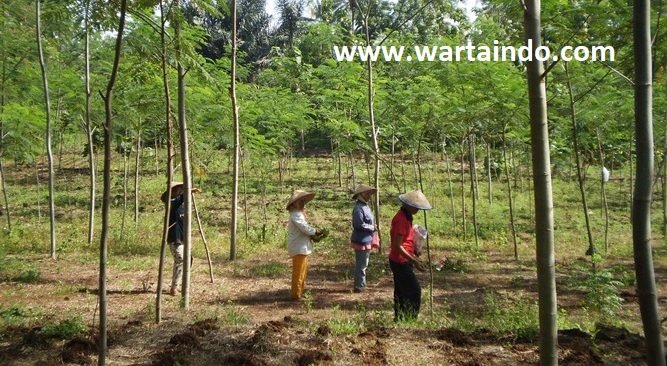 Koperasi Dipo Manunggaling Ros..